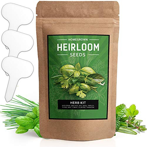 10 Culinary Herb Seed Vault - Heirloom and Non GMO - 3000 Plus Seeds for Planting for Indoor or Outdoor Herbs Garden, Basil, Cilantro, Parsley, Chives, Thyme, Oregano, Dill, Marjoram, Mint, Tarragon