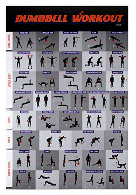 Workout Poster - Dumbbell Exercise Poster Laminated Free Weight Strength Training Chart Fitness Guide for Home Gym Weightlifting Routine Effective Strength Building Exercises 20 x 30 Inches