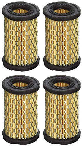 Tecumseh 35066 Air Filter -F?ur ???k-