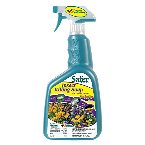 Safer Insect Killing Soap With Seaweed Extract Multiple Insects Spray 32 Oz Safer Insect Killing Soap With Seaweed Extract Multiple Insects Spray 32 Oz