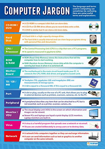 Computer Jargon | Technology and Computing Posters | Laminated Gloss Paper Measuring 33 x 23.5 | ICT Charts for The Classroom | Education Charts by Daydream Education