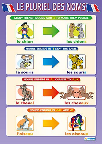 Le Pluriel des Noms | Language Learning Posters | Laminated Gloss Paper Measuring 33 x 23.5 | Second Language Charts for The Classroom | Education Charts by Daydream Education