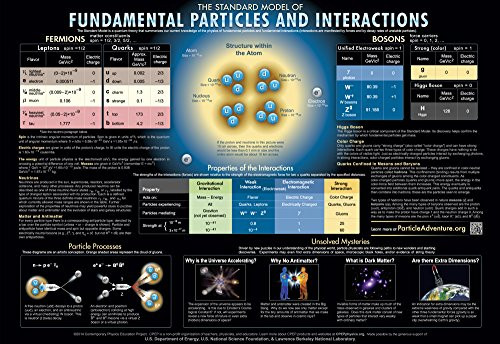 30 Fundamental Particles and Interactions Charts -16inch x 11inch-