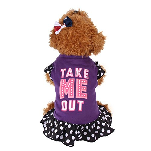 OOEOO Puppy Apparel- Summer Costume Dog Cat Pet Clothes Take Me Out Dress Doggie Shirt -Purple- M- OOEOO Puppy Apparel- Summer Costume Dog Cat Pet Clothes Take Me Out Dress Doggie Shirt -Purple- M-