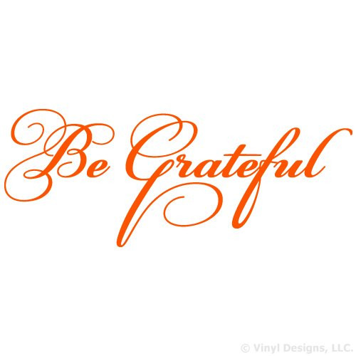 Be Grateful Quote Vinyl Wall Decal Sticker Art- Removable Home Decor- Pastel Orange- 35in x 11in