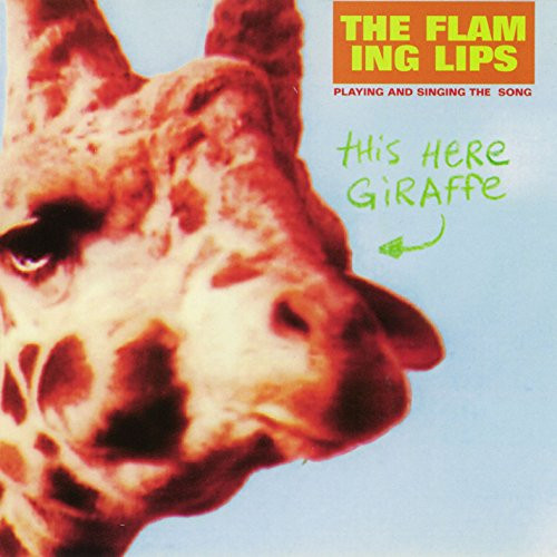 This Here Giraffe -10inch Orange  and  Clear Colored Vinyl Single--RSD Exclusive-