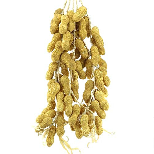 Gresorth Fake Vegetable Bunch Artificial Peanut Decoration for Home Kitchen Shop Party Show Food Display