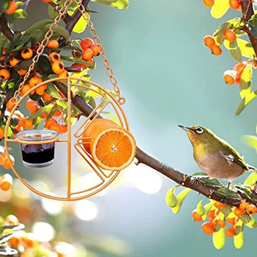 2 in 1 Hanging Clementine Hummingbird Oriole Feeder-Orange Fruit Oriole Double-Cup Jelly Bird Feeder- Outdoor Garden Metal Hanger Drinking Grape Jelly Container Hummingbird Feeder -S- 2 in 1 Hanging Clementine Hummingbird Oriole Feeder-Orange Fruit Oriole Double-Cup Jelly Bird Feeder- Outdoor Garden Metal Hanger Drinking Grape Jelly Container Hummingbird Feeder -S-