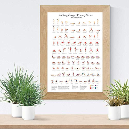 Yoga Asanas Postures Poses Ashtanga Primary Series Poster Chart Wall Hanging Educational Decoration Infographic Learn The Essential Sequence At Your Own Pace