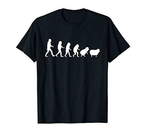 Conspiracy Theorist Human Evolution Wake Up Sheeple Sheep T-Shirt Conspiracy Theorist Human Evolution Wake Up Sheeple Sheep T-Shirt