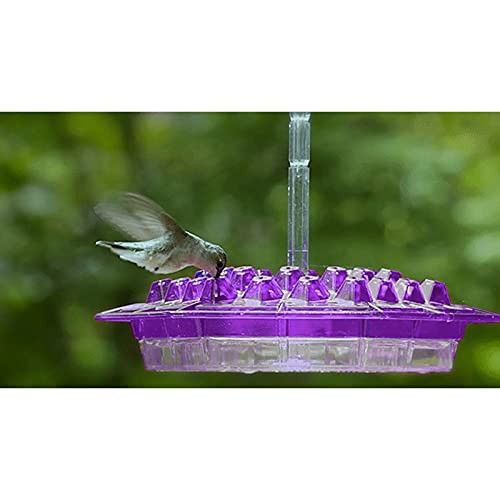 Mary's Sweety Hummingbird Feeder - with 30 Feeding Ports- Best Hummingbird Feeders- Uni-Body Design - Easy to Clean- for Outdoors Hanging Yard Garden Decoration- Deck- Patio -Purple Mary's Feeder- Mary's Sweety Hummingbird Feeder - with 30 Feeding Ports- Best Hummingbird Feeders- Uni-Body Design - Easy to Clean- for Outdoors Hanging Yard Garden Decoration- Deck- Patio -Purple Mary's Feeder-