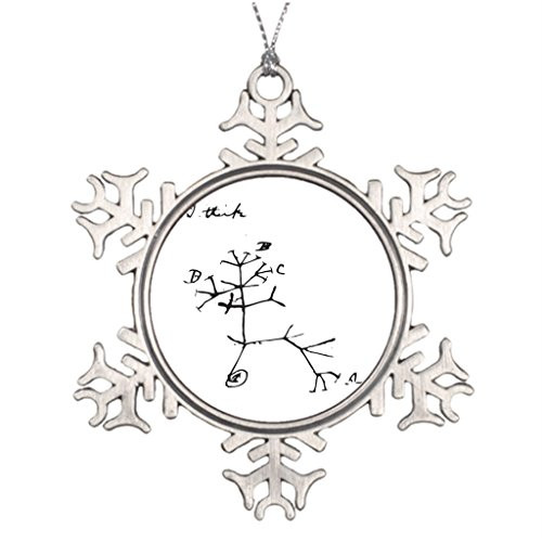 Xixitly Tree Branch Decoration Charles Darwin - I Think Black Biology Beautiful Christmas Snowflake Ornaments