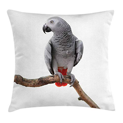 Ambesonne Grey Throw Pillow Cushion Cover- Parrot Bird Psittacus Erithacus Standing on a Branch Tropical Nature Wildlife- Decorative Square Accent Pillow Case- 16inch X 16inch- White Grey