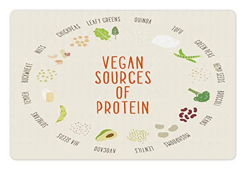 Ambesonne Vegan Pet Mat for Food and Water- Vegan Sources of Protein Concept with Vegetables and Names in Circular Chart- Non-Slip Rubber Mat for Dogs and Cats- 18inch X 12inch- Multicolor