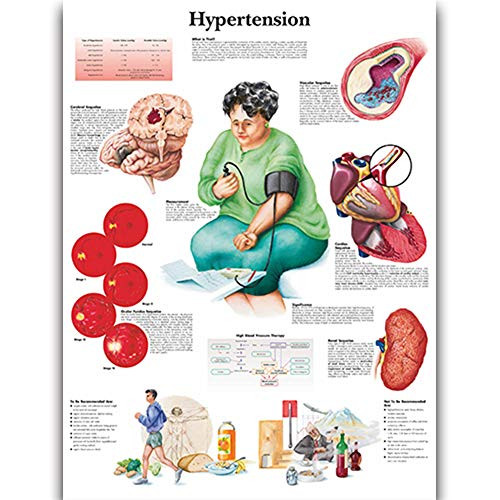 Hypertension Anatomy Posters for Walls Nursing Students Educational Anatomical Poster Chart Waterproof Canvas Medicine Disease Map for Doctor Enthusiasts Kid's Enlightenment Education -Hypertension- 20x30inches-