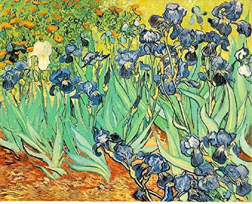 2 Irises Post Impressionism Vincent van Gogh-Frameless painting by number kits 16x20 inch pictures on canvas