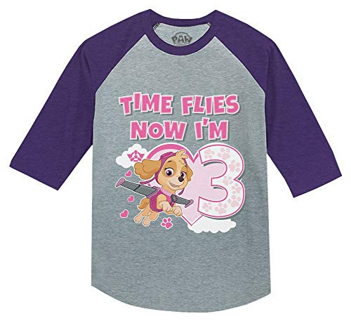 Paw Patrol Skye 3rd Birthday Girl Gift 3/4 Sleeve Baseball Jersey Toddler Shirt 4T Purple
