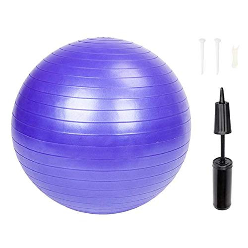 Funboxz 65cm 1050g Gym/Household Explosion-Proof Thicken Yoga Ball Smooth Surface Purple