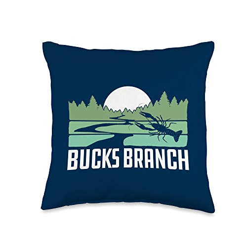 Giant Step Design Co. Buck's Branch Tributary Franklin County VA Throw Pillow- 16x16- Multicolor
