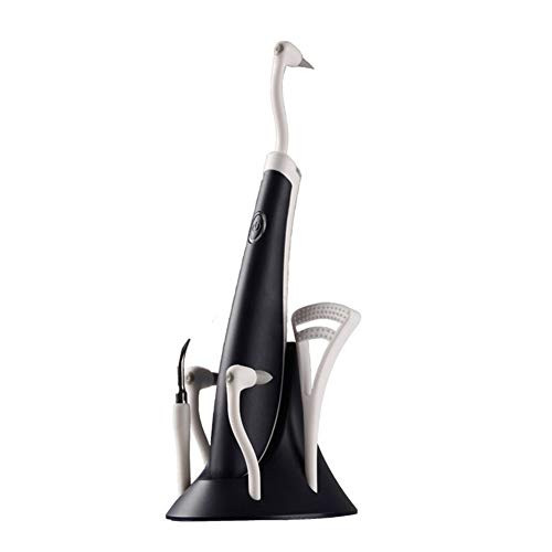 Electric Dental Calculus Remover with led- High-Frequency Vibration Tartar Remover-Scale Removal Teeth Cleaning Tool with 5 Head