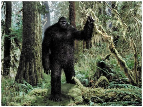 Bigfoot Edible Icing Image Cake Topper for 1/4 sheet cake