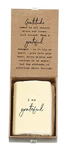Gratitude Paz·Itive Journal Box Set- Size- 3inch x 2inch.