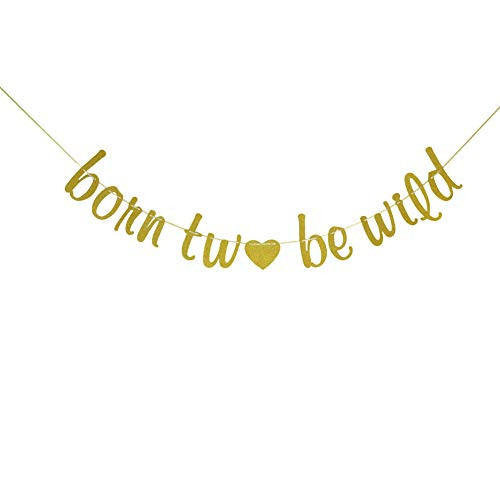 Born Two Be Wild Banner, 2nd Birthday Bunting Sign, Two Years Old Kids Party Decorations, Born To Be Wild Banner, Birthday Banner - Gold Glitter
