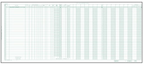 EGP Payroll/General Expense Combo Journal Sheet- 15 Sheets