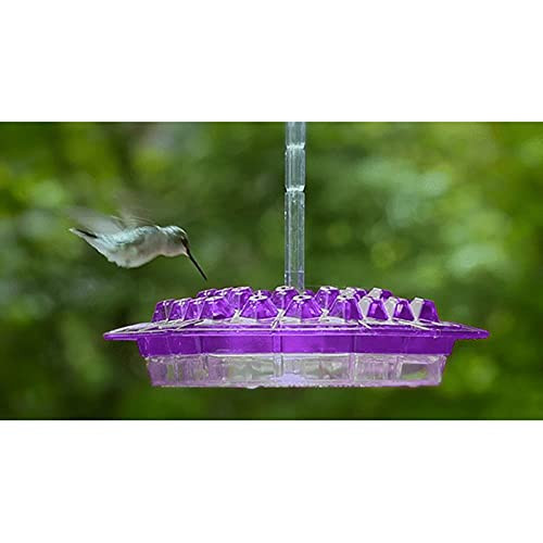 Mary's Sweety Hummingbird Feeder- Unique Design Feeding System- Best Hummingbird Feeders Gift for Family Friends- Hummingbird Feeders for Outdoors Hanging-Patio-Garden-Yard- -Purple- Mary's Sweety Hummingbird Feeder- Unique Design Feeding System- Best Hummingbird Feeders Gift for Family Friends- Hummingbird Feeders for Outdoors Hanging-Patio-Garden-Yard- -Purple-