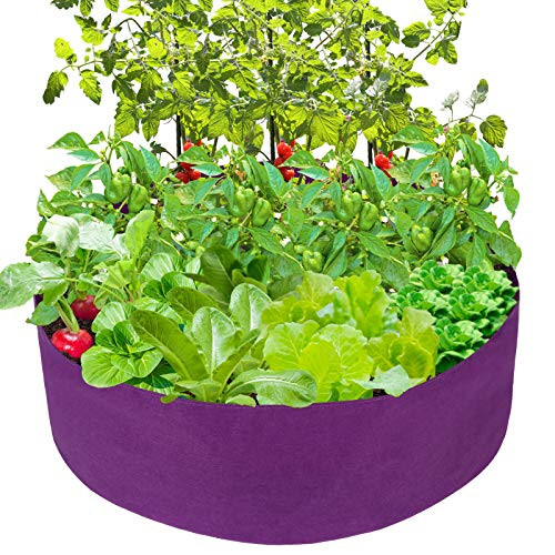 Mokyler Round Raised Garden Bed- Plant Grow Bag Felt Fabric Raised Planting Bed- Purple Raised Garden Planter- Veg Planter Pot Planter Box Garden Grow Planter for Plants -50Gallon- Mokyler Round Raised Garden Bed- Plant Grow Bag Felt Fabric Raised Planting Bed- Purple Raised Garden Planter- Veg Planter Pot Planter Box Garden Grow Planter for Plants -50Gallon-