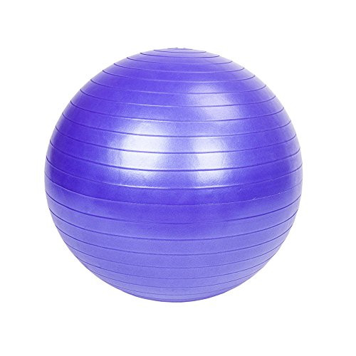 ZMENVL 65cm 1050g Practical Yoga Ball Gym Household Explosion-Proof Thicken Yoga Ball Smooth Surface Purple