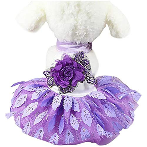 SISAVE Small Dogs Lace Cat Skirt-Pet Puppy Apparel Clothes Princess Party Wedding Dress -Purple- Small- SISAVE Small Dogs Lace Cat Skirt-Pet Puppy Apparel Clothes Princess Party Wedding Dress -Purple- Small-