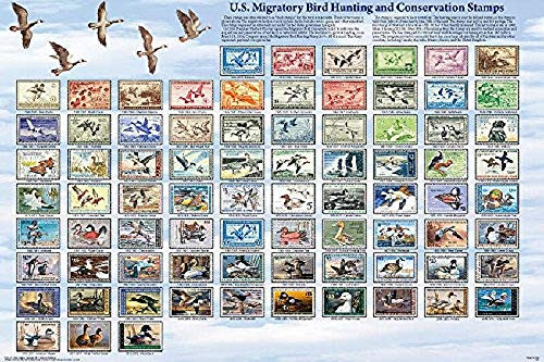 Picture Peddler Duck Stamps Laminated Educational History Collectors Reference Chart Print Poster 24x36