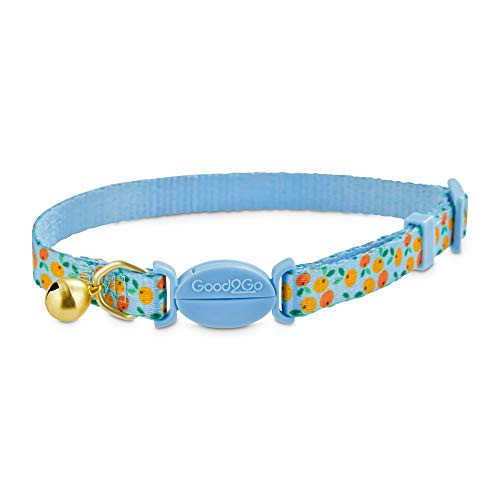 Petco Brand - Good2Go Ripe Orange Breakaway Cat Collar- Standard