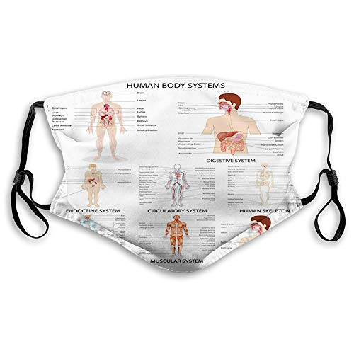 Activated carbon filter mask- Anatomy- Complete Chart Different Organ Body Structures Cell Life Illustration-White-Printed Facial decorations for teens