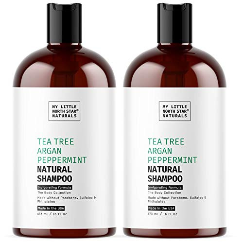 Tea Tree Shampoo | Natural Tea Tree Argan Peppermint Shampoo | Made in USA | 2x16oz | For Men and Women | Made without Sulfate - Packaging May Vary