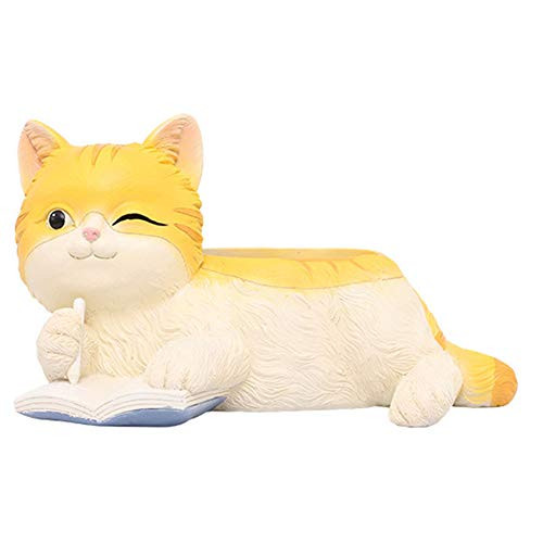 Succulent Pot- Orange Cat Planter Cactus Bonsai Plants Pot Flower Container Plant Pots for Home Office Desktop Garden Decoration