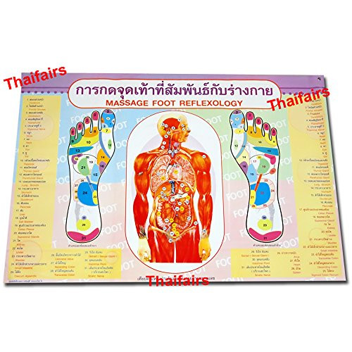 Foot Massage Sketch Chart of the Foot Reflexive Zone Poster