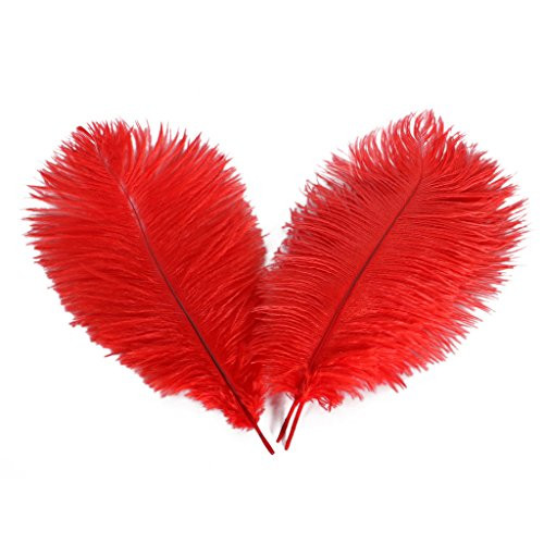 Wionya 20pcs Ostrich Feather Craft 10-12inch(25-30) Plume for Wedding Centerpieces Home Decoration