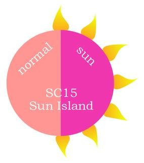 Revel SC15 Sun Color Dipping Powder 2oz.