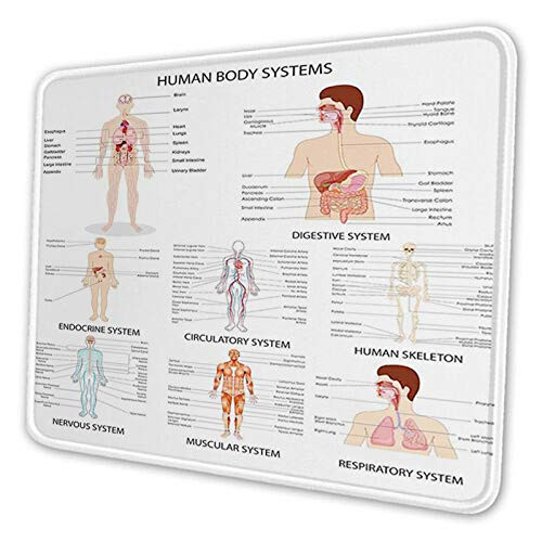 Mouse Pad-Complete Chart of Different Organ Body Structures Cell Life-Non-Slip Mouse Mat- Waterproof Rubber Base