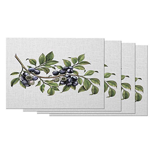 Moslion Blueberry Branch Placemats Summer Fresh Fruit Healthy Natural Organic Wild Plant Table Placemats for Dinning Table Washable Cotton Linen 12x18 Inch- Set of 4