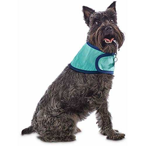 Petco Brand - Good2Go Cooling Dog Bandana- Large/X-Large