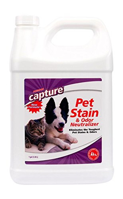 Capture Carpet Pet Odor Eliminator - Couch Cleaner Urine Remover for Dog and Cat Stains- Beats Any Enzyme Cleaner- Carpet Stain Remover Capture Carpet Pet Odor Eliminator - Couch Cleaner Urine Remover for Dog and Cat Stains- Beats Any Enzyme Cleaner- Carpet Stain Remover