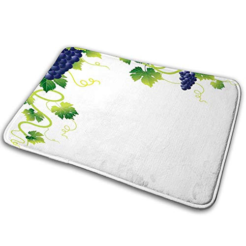 Door Floor Mat Summer Season Vineyard Composition Weeping Vines Bunch of Blue Grapes/Indoor Outdoor Rug Entryway Welcome Bath Mats Bottom Non-Woven Fabric dot Plastic?40x60cm?