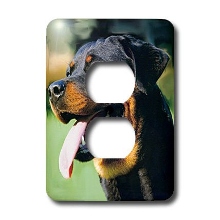 3dRose lsp_4378_6 Rottweiler 2 Plug Outlet Cover