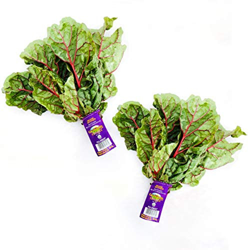 Kejora Fresh Organic Red Chard 2 Bunches