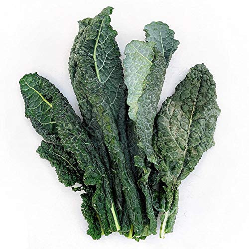 Kejora Fresh Organic Lacinato Kale 3 Bunches