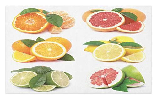 Lunarable Fruits Doormat- Orange Citrus Lemon Slice Mix Refreshment Healthy Natural Tropical Exotic- Decorative Polyester Floor Mat with Non-Skid Backing- 30inch X 18inch- Orange Lime Green Red