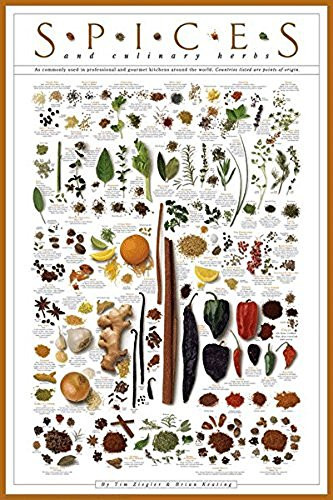 Laminated Spices and Culinary Herbs Gourmet Kitchen Cooking Chart Poster 24x36